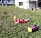 芝生の築山