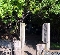 たいけんのもり